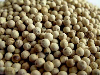 WHITE PEPPER